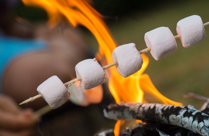 Close-up of marshmallows roasting in campfire