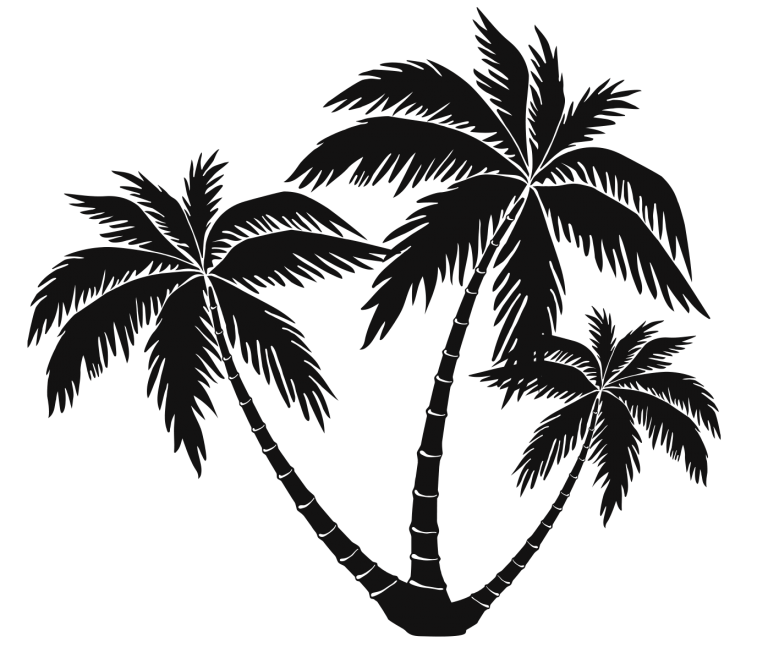 Outdoor Patio Furniture Store Atlanta, GA Palm Casual