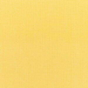 Canvas Buttercup