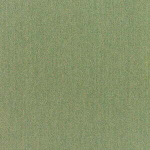 Canvas Fern 5487 0000 color option