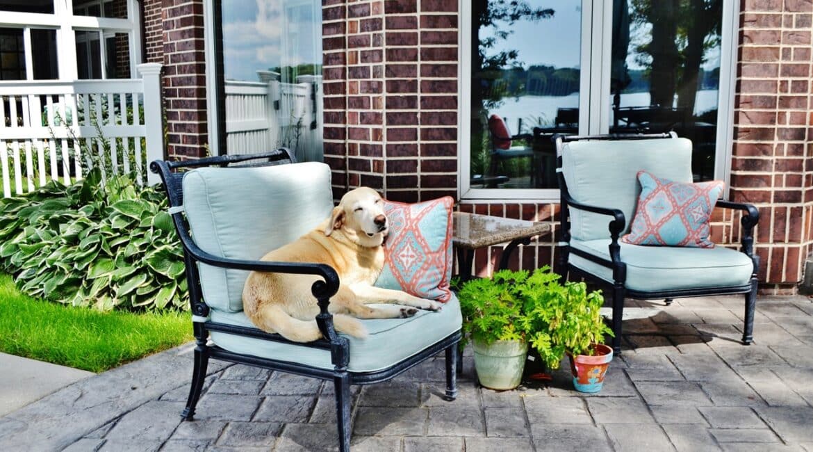 pet-friendly patio