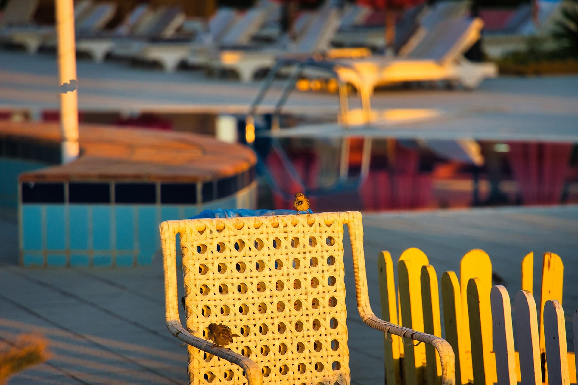 Patio Chairs for Myrtle Beach Weather | Palm Casual